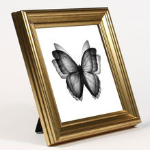 Load image into Gallery viewer, Butterfly Postcard
