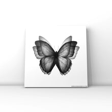 Load image into Gallery viewer, Butterfly Postcard
