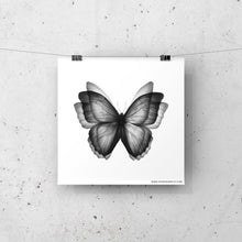 Load image into Gallery viewer, Butterfly Postcard