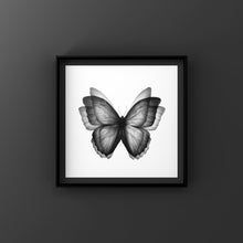 Load image into Gallery viewer, Butterfly Postcard