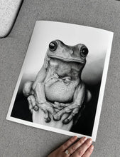 Load image into Gallery viewer, "Mr. Frog" Limited Edition Giclée Fine Art Print