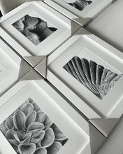 Load image into Gallery viewer, Cropped Print - Limited Edition Giclée Fine Art Print