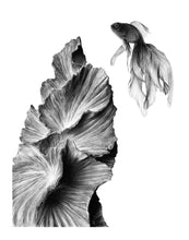 Load image into Gallery viewer, "Lonely at the Top" Limited Edition Giclée Fine Art Print