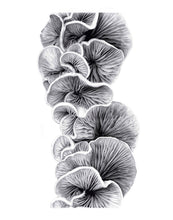 Load image into Gallery viewer, "Quiet" Limited Edition Giclée Fine Art Print