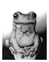 Load image into Gallery viewer, "Mr. Frog" Limited Edition Giclée Fine Art Print