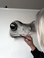 Load image into Gallery viewer, "Mr. Frog" Limited Edition Giclée Fine Art Print