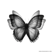 Load image into Gallery viewer, Butterfly Postcard