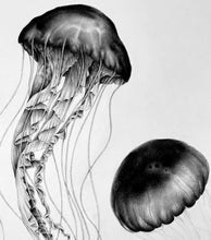 Load image into Gallery viewer, Original Drawing - "Heartless"