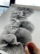 Load image into Gallery viewer, Original Drawing - "Quiet"