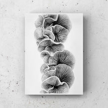 Load image into Gallery viewer, Original Drawing - "Quiet"