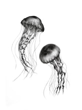 Load image into Gallery viewer, "Heartless" Limited Edition Giclée Fine Art Print