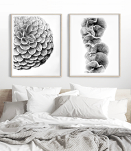 Load image into Gallery viewer, "Dahlia" Limited Edition Giclée Fine Art Print