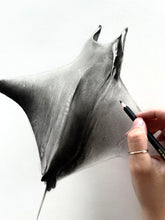 Load image into Gallery viewer, Original Drawing - &quot;Mobula&quot;
